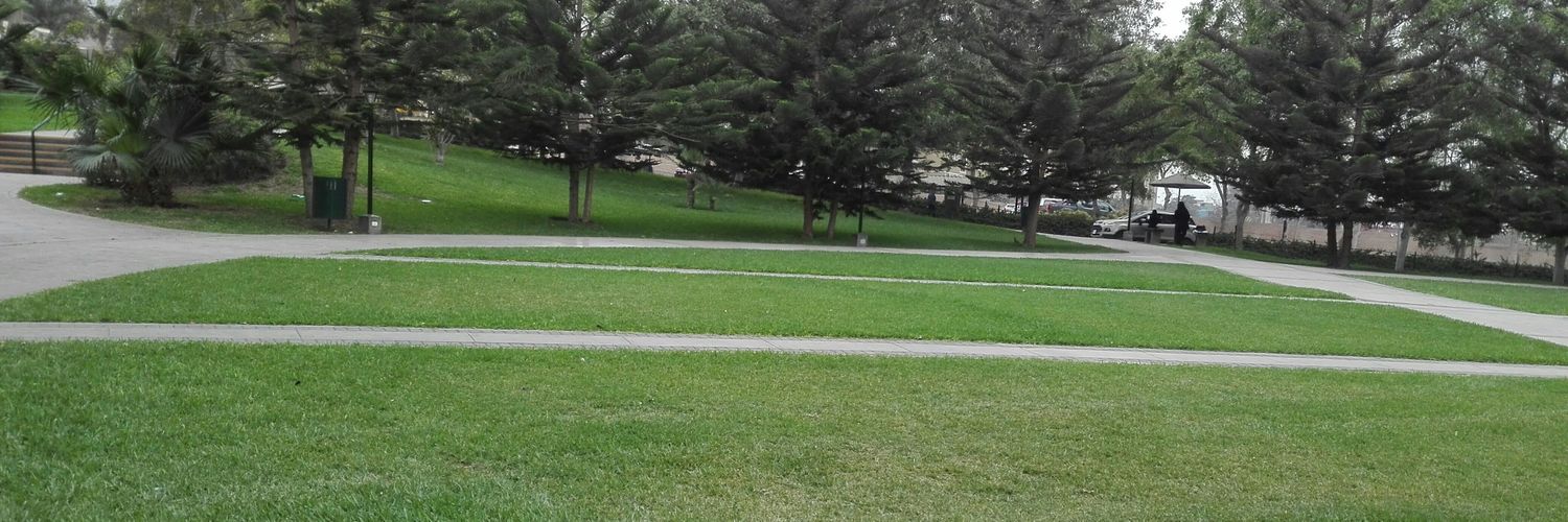 WalterhMorales's profile banner image