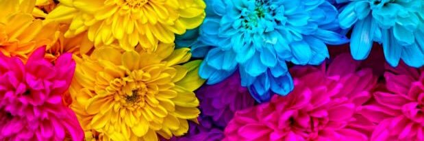 ericajanet's profile banner image