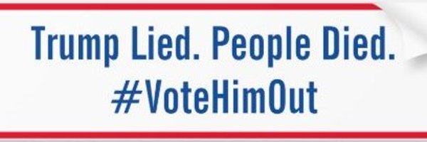 VoteThemOutNow Profile Banner