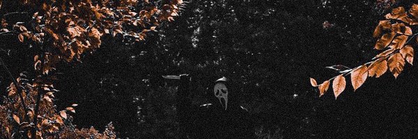 Proffecide Profile Banner