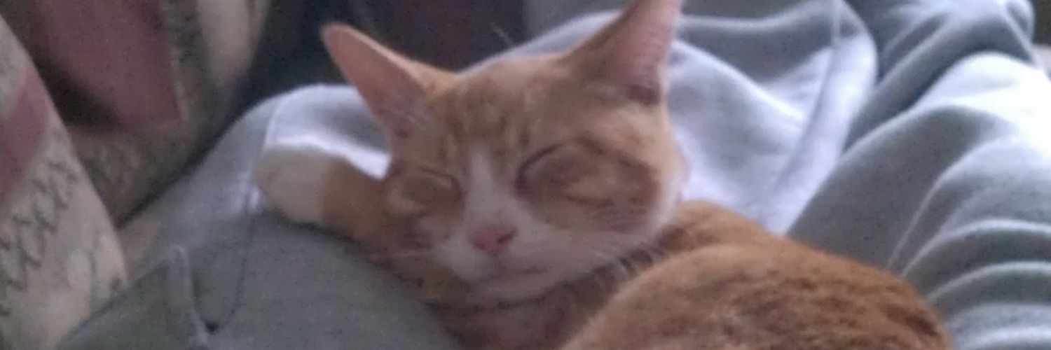 Slimuzi309's profile banner image