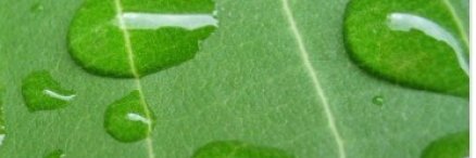 cisepts_contact's profile banner image