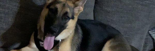 DannyKB96 Profile Banner