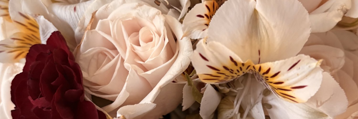 kiarisss21's profile banner image