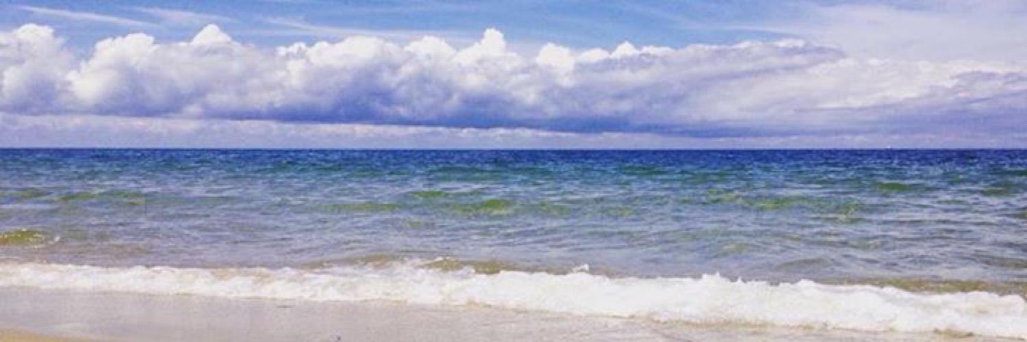 Taylor Murphy banner