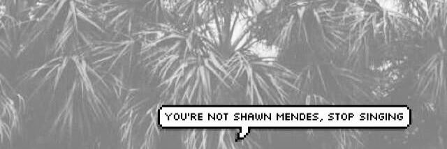 ShawnFansz's profile banner image