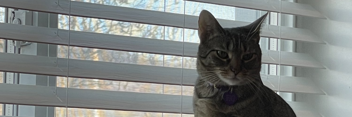 aftonaul's profile banner image