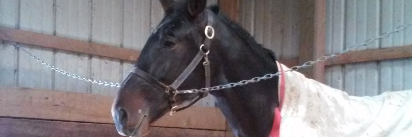 Sarge1056's profile banner image