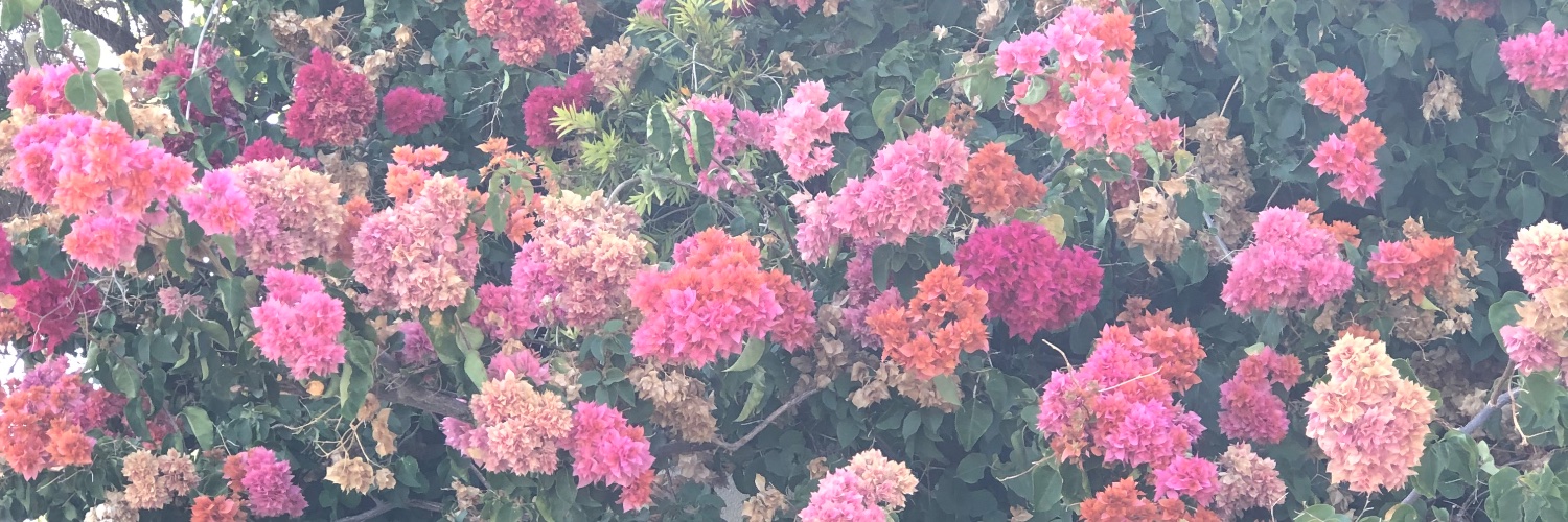 valitabenzo's profile banner image