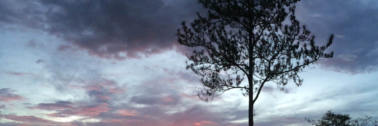 BerseeB's profile banner image