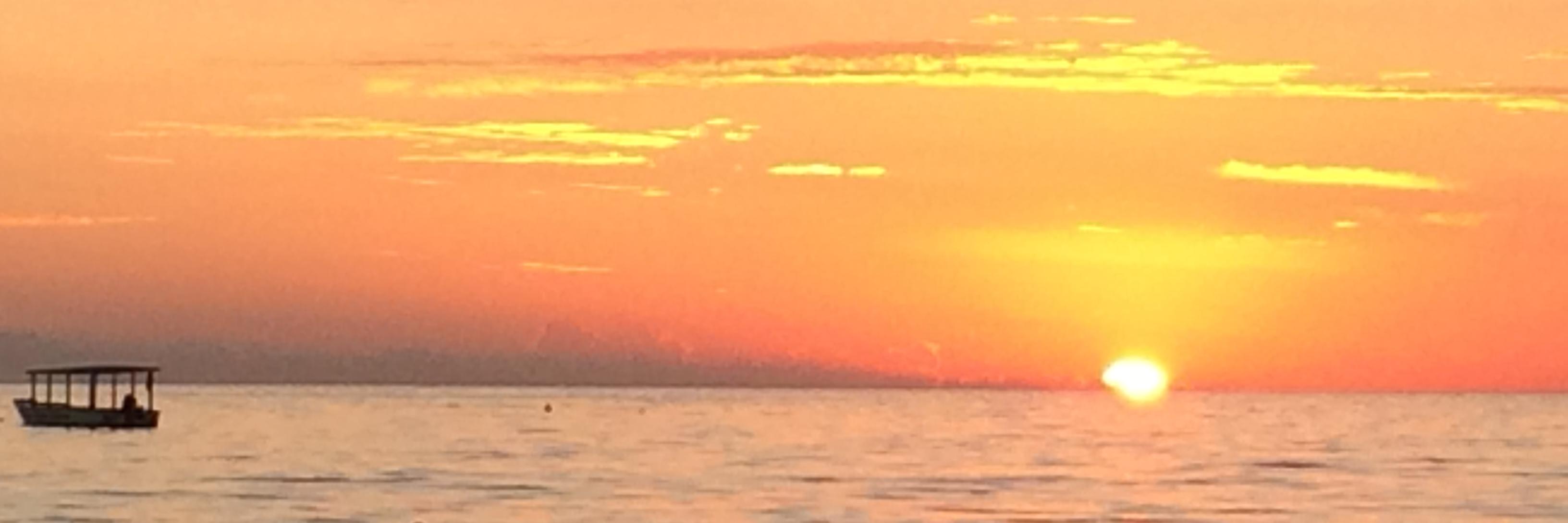 ZelaikaC's profile banner image