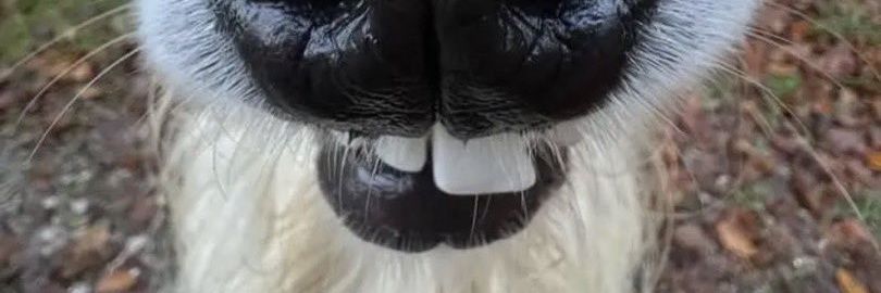 eu_gszin's profile banner image