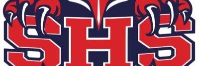 Springstead Baseball banner