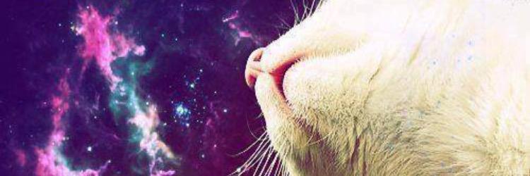 alejanieto_'s profile banner image