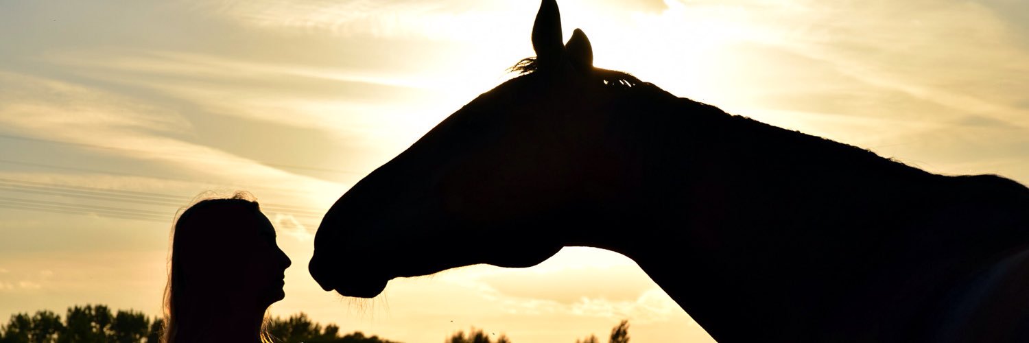 EquestrianReads's profile banner image