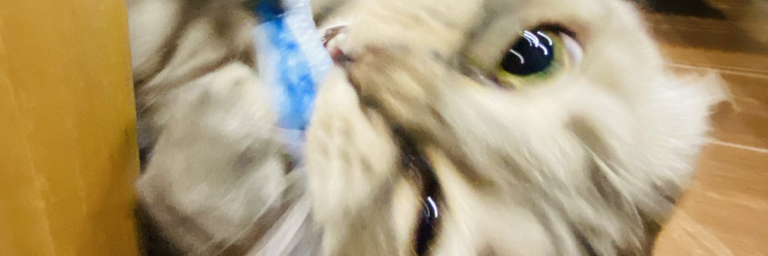 chika_k3's profile banner image