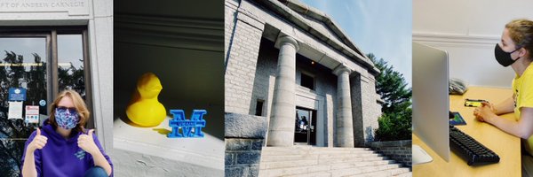 VEMI_Lab Profile Banner