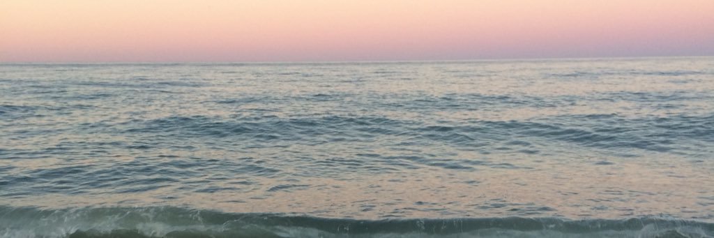 michaelpesky's profile banner image
