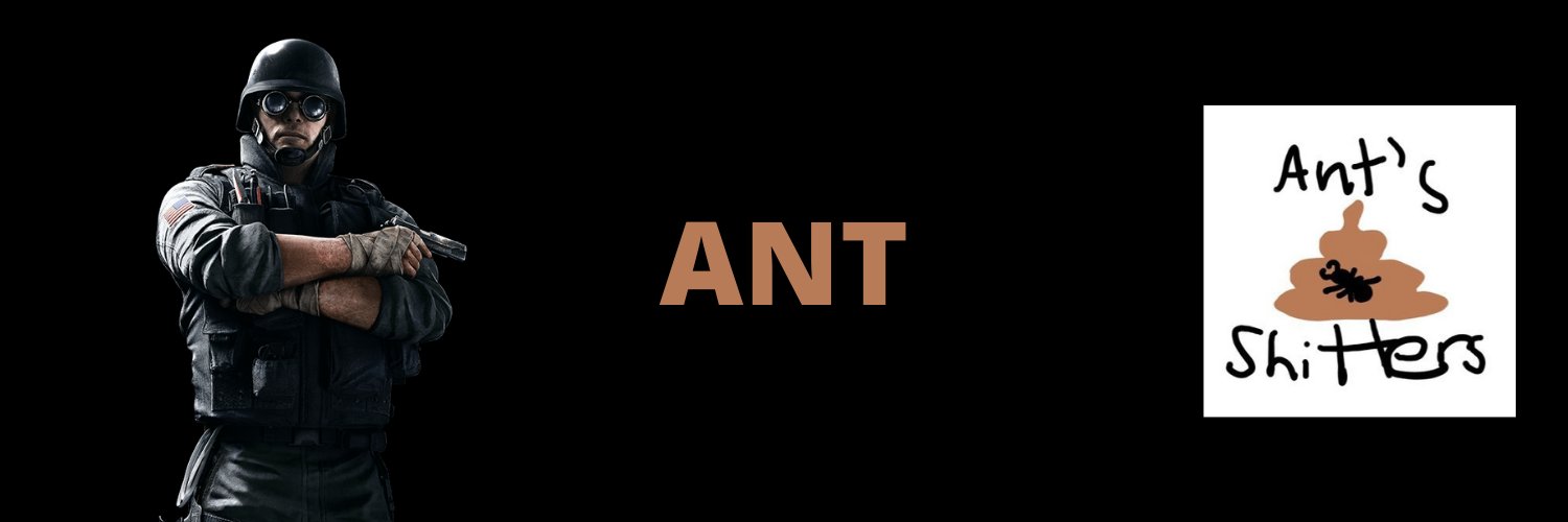 Ant banner