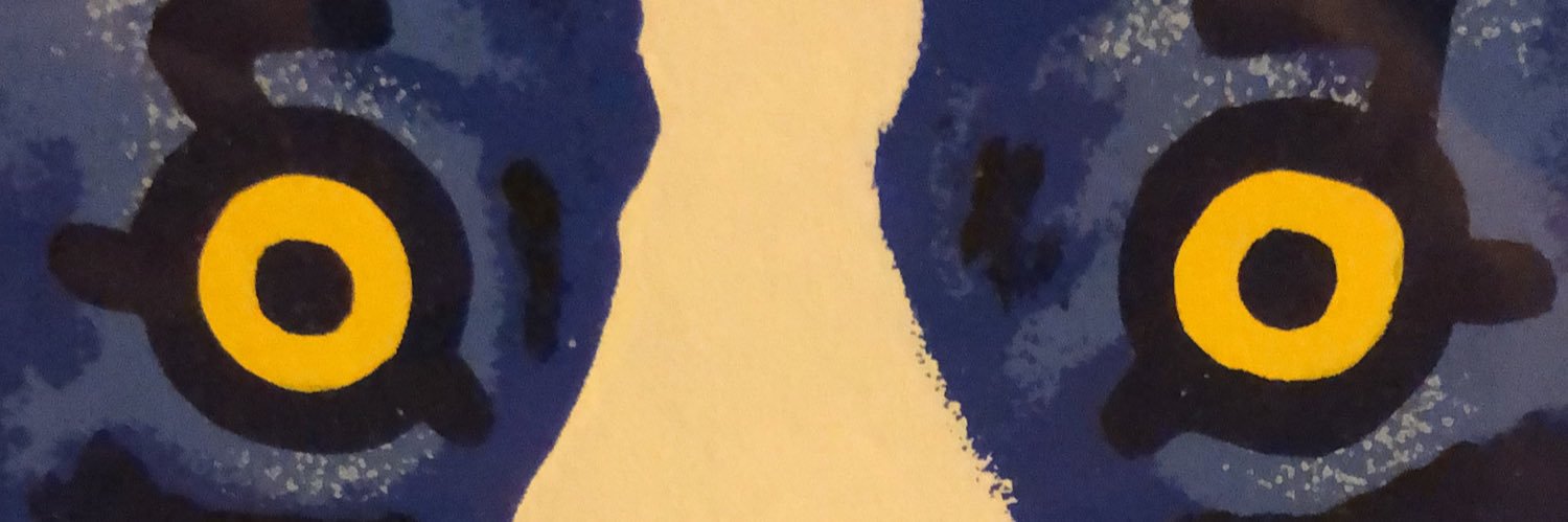 MrGalactic305's profile banner image