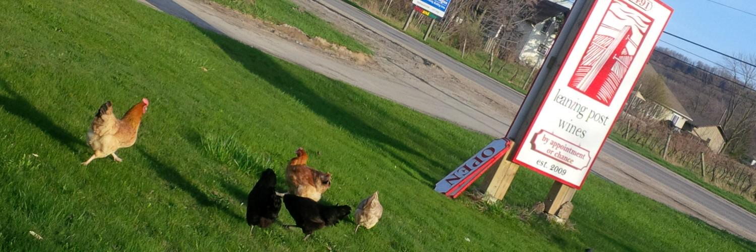 Leaning Post Wines banner