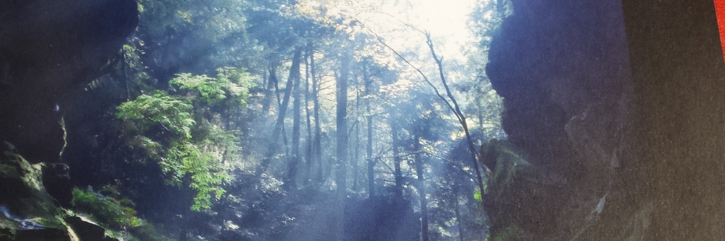 CWKessler's profile banner image