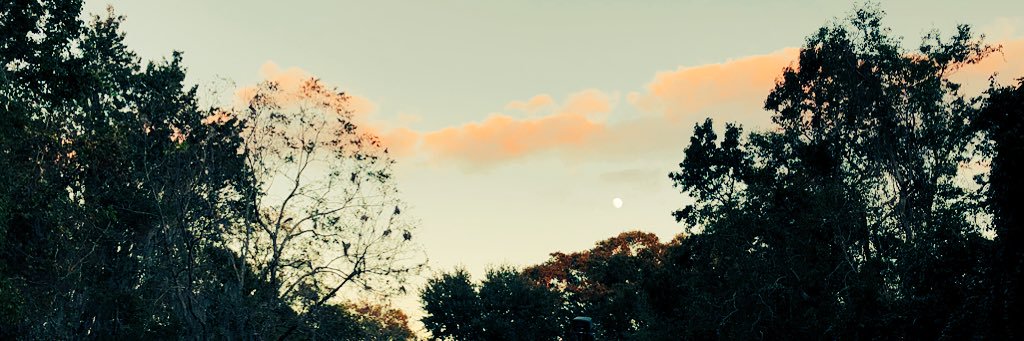 _Ciaruhhh's profile banner image