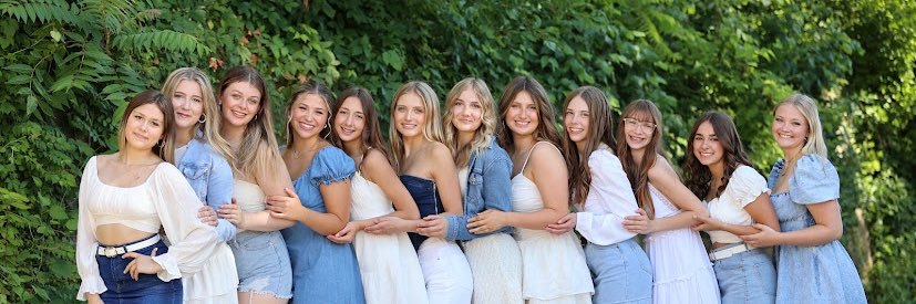 Hillsboro Hawkettes banner