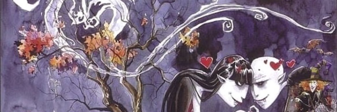 maddywaddyz's profile banner image