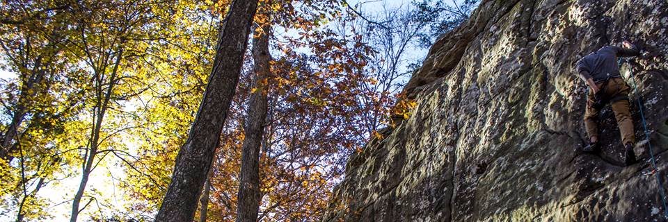 t_delusion's profile banner image