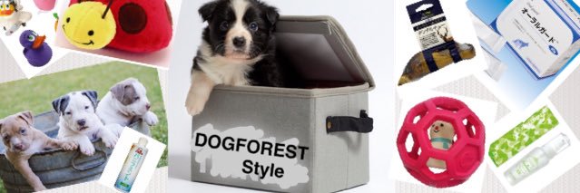 DOGFORESTStyle's profile banner image