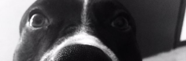 norrules777's profile banner image