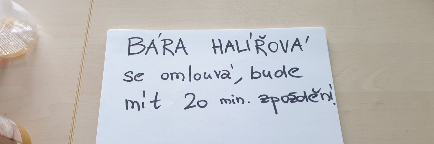 BarbaraHalirova's profile banner image