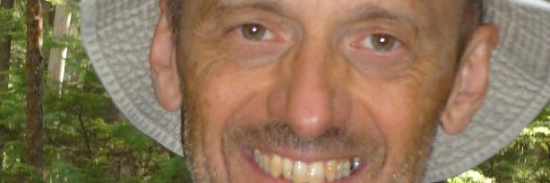 giorgio brajnik banner