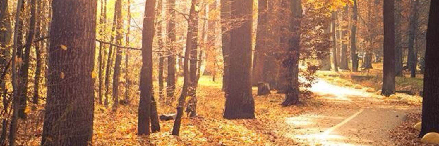 edo_motion's profile banner image