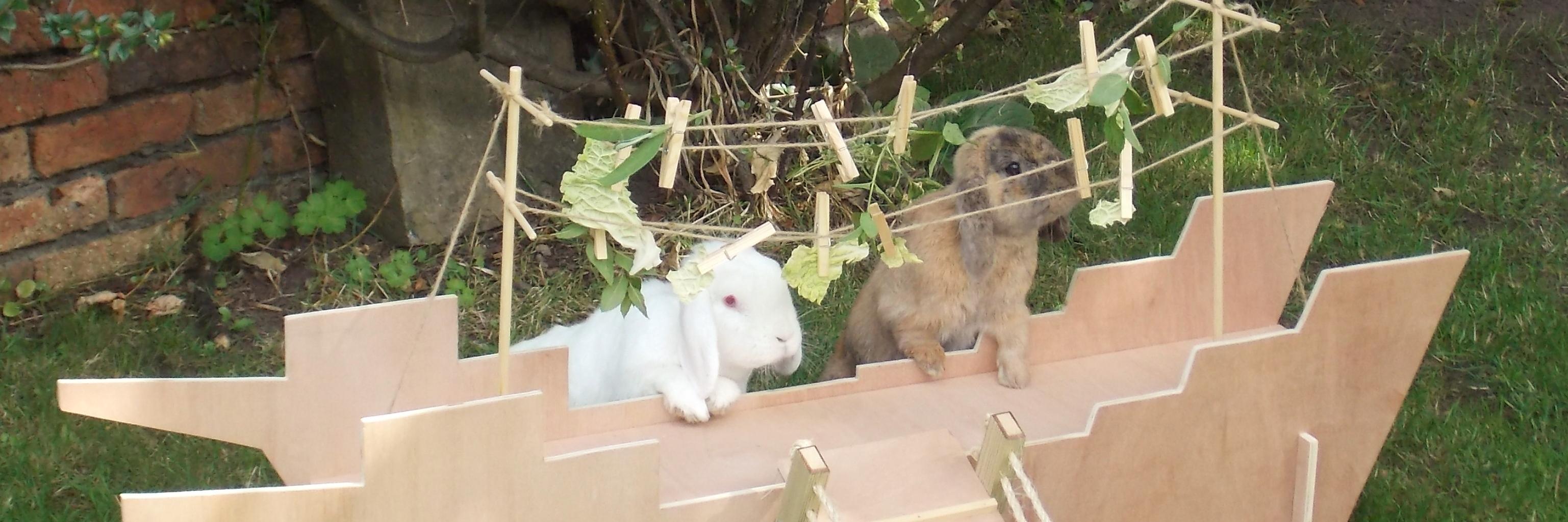 happyrabbitco's profile banner image