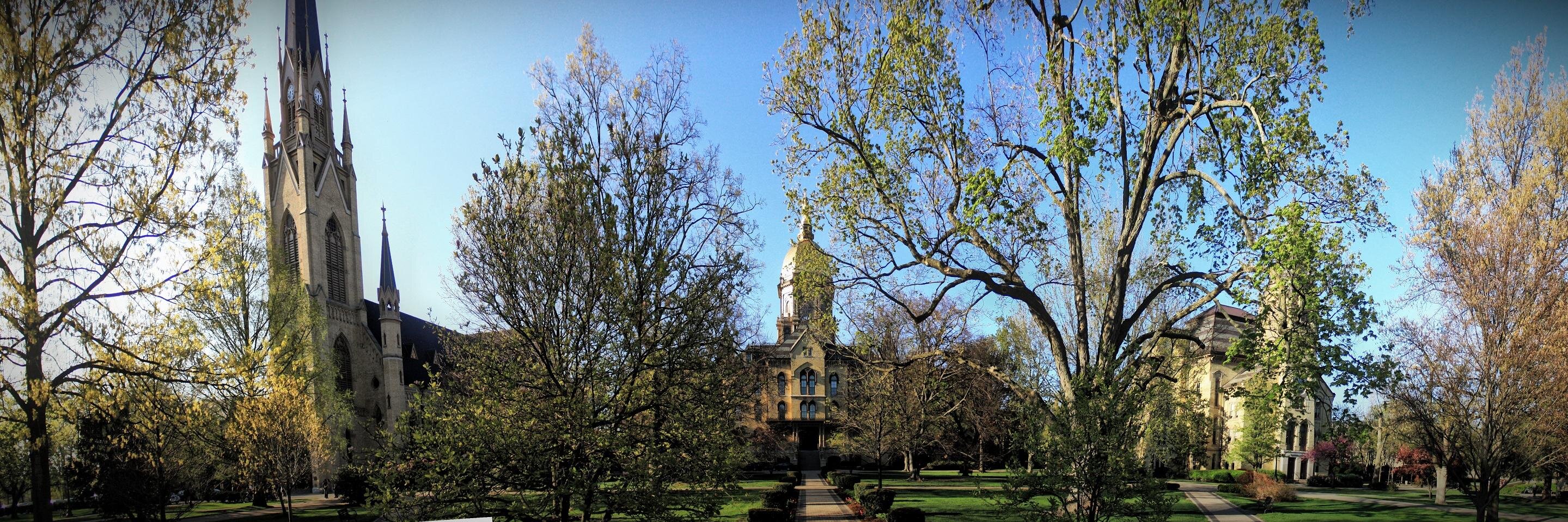 Leprecondriac banner