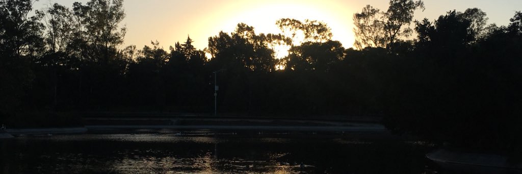 aleegO8's profile banner image