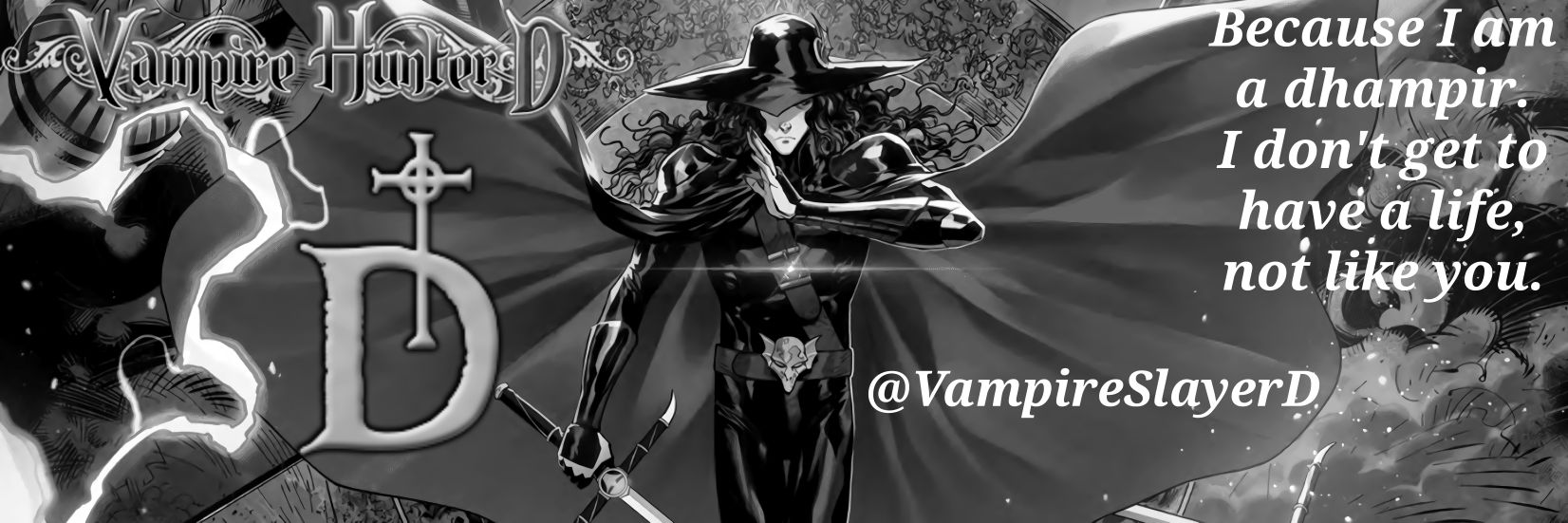 VampireSlayerD's profile banner image