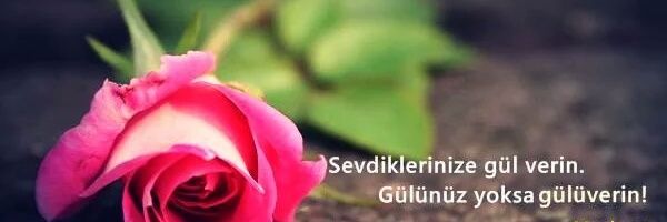 ocal_hayati's profile banner image