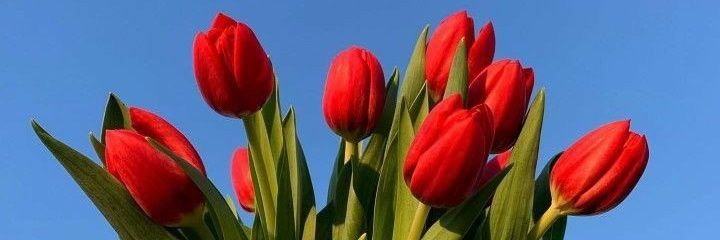 LookinForJD's profile banner image