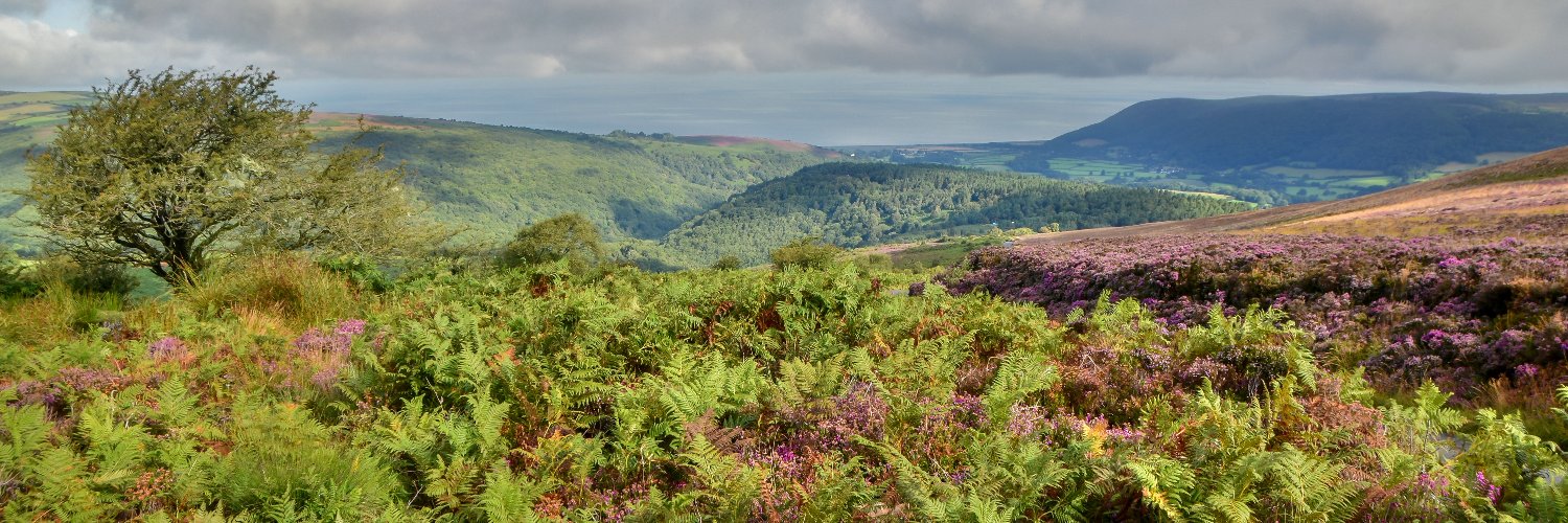 ExmoorSociety's profile banner image