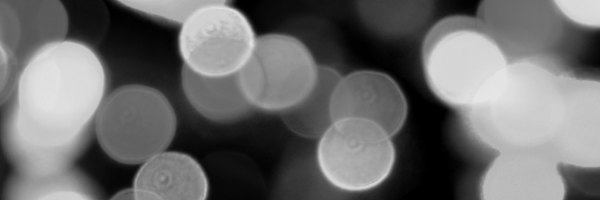 pavelkovar1 Profile Banner