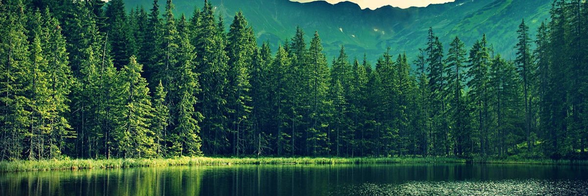 JoshuaMowell's profile banner image