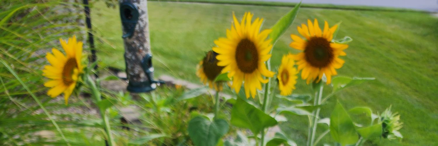 Mjgroebe's profile banner image