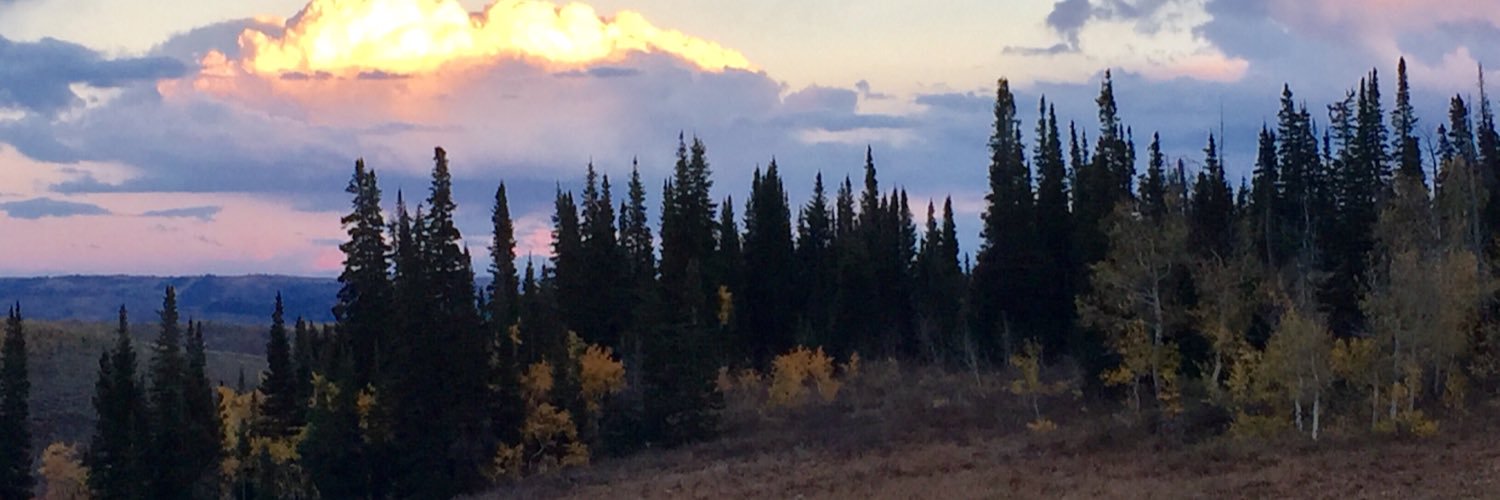 rknye's profile banner image