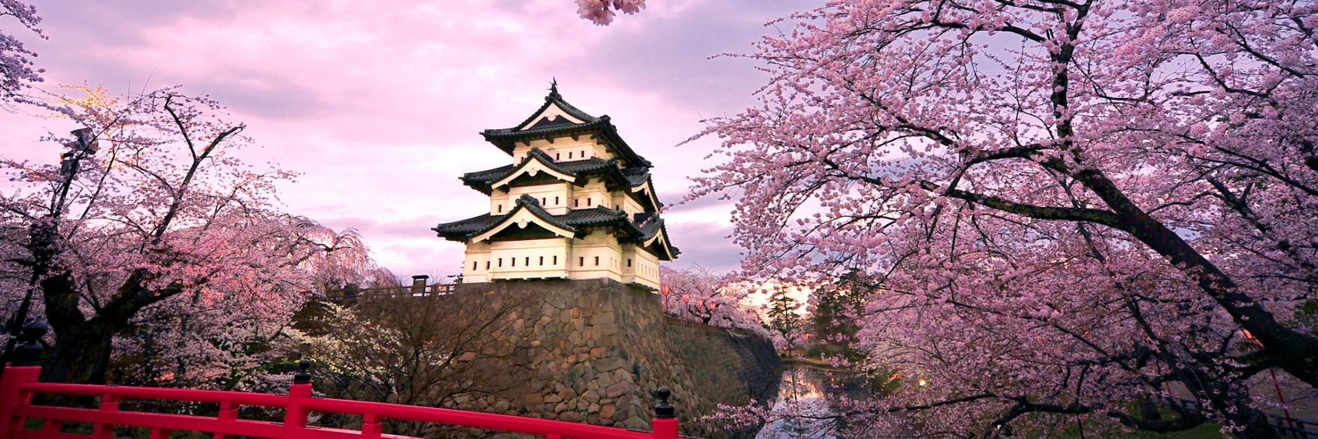 Robert Winkler banner