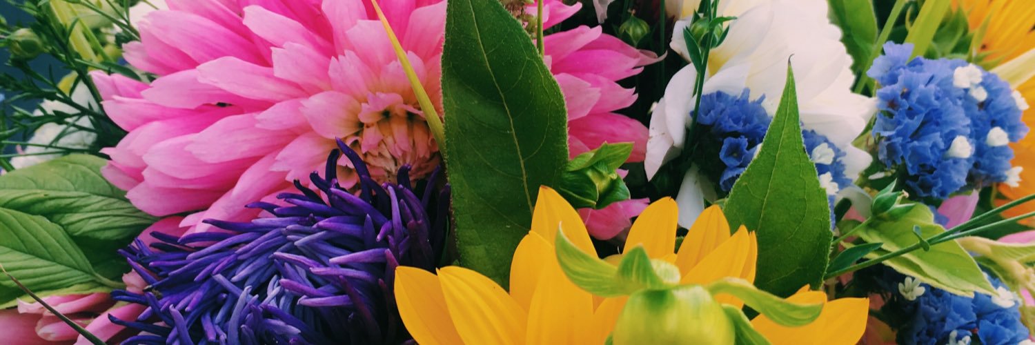 margueritewill's profile banner image