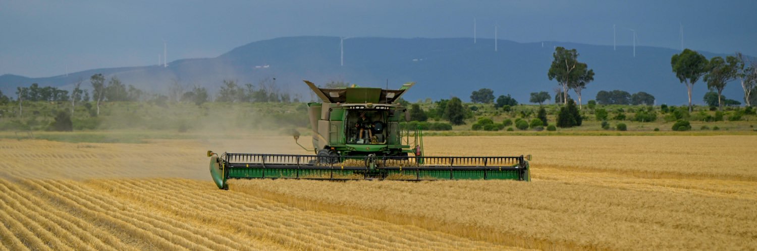 downtoearthjadma banner