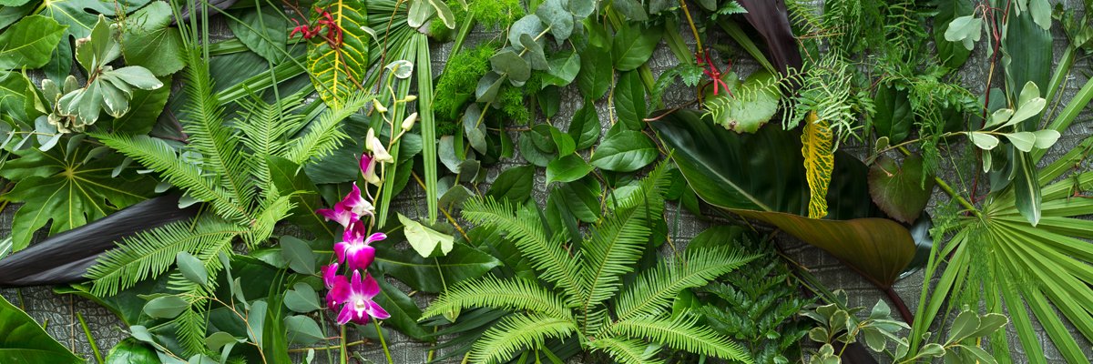 WBE_Groep's profile banner image